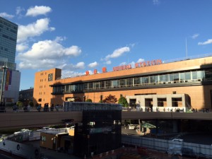 IMG_1245