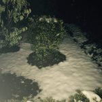 雪