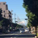 富士見通り
