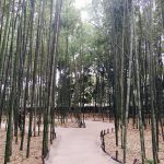 体感する