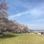 一年の振り返り