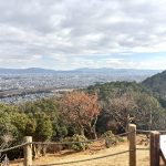 モンキーパーク