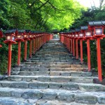 珍しいらしい