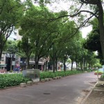 名古屋紹介