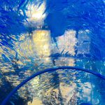 水族館にいきました