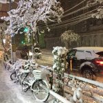 東京冬