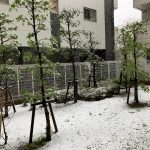 季節外れの