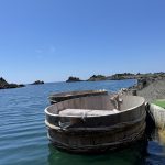 佐渡島