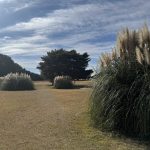 ひたち海浜公園