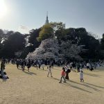 22期が始まりました